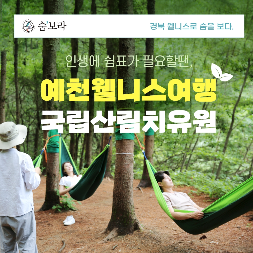 [경북웰니스여행] 예천 국립산림치유원