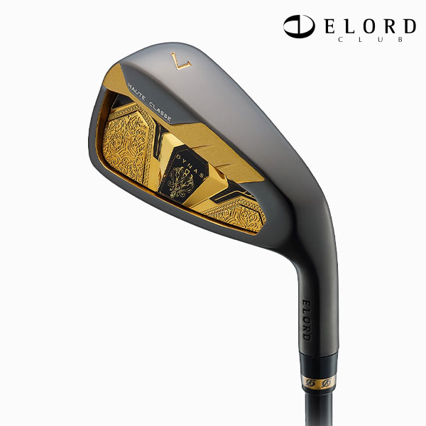 엘로드 다이너스8 블랙 남성 아이언 2024년