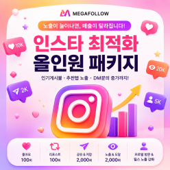 인스타그램 최적화 계정 성장 올인원 패키지