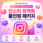 인스타그램 최적화 계정 성장 올인원 패키지