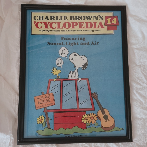 vintage snoopy poster frame