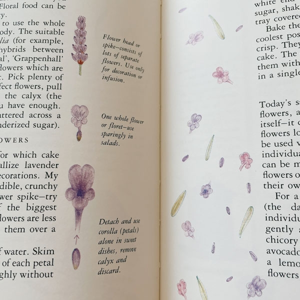 vintage lavender book