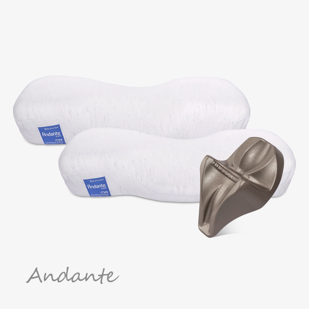 블루라벨 안단테 Soft 더블세트(베개2+머리냅)