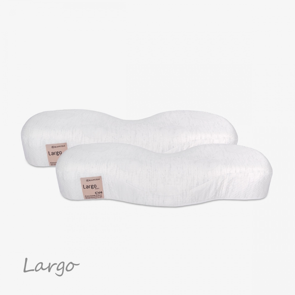 골드라벨 라르고 Soft 2개세트