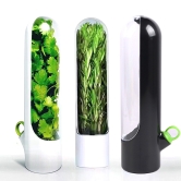 허브채소보관용기 대파보관 야채보관 허브 수경식물