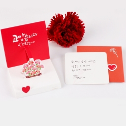 한아름 카네이션 미니 팝업카드