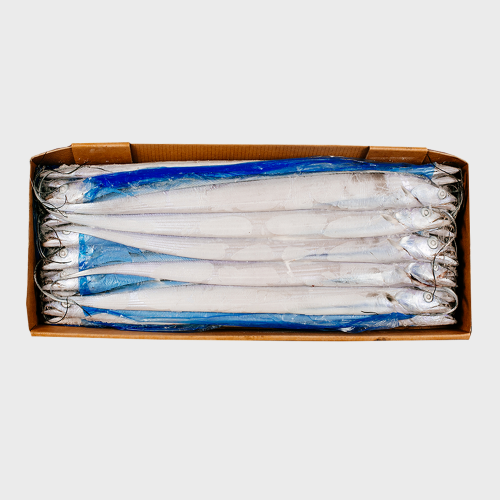 선상냉동갈치 41-45미