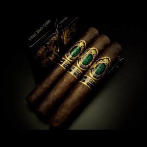 God of Fire KKP Never Back Down 그랑 토로