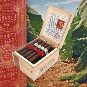 Liga Privada H99 토로