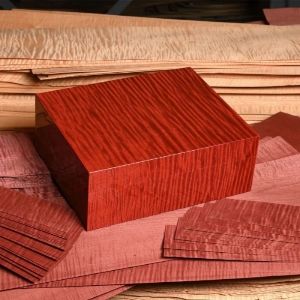 Elie Bleu "Fruit" Red 50ct 휴미더