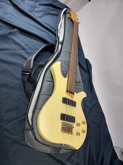 Esp 그래스루츠 험버커 베이스기타