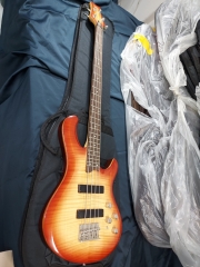 데임 폴앤폴 250 프리앰프 베이스 기타