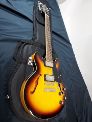 에피폰 es339 할로바디 일렉기타