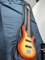 입문용 데임 폴앤폴 250 베이스 기타