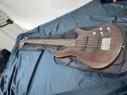 데임 무광 폴앤폴 250 베이스 기타