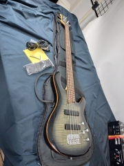 깨끗한 데임 폴앤폴 250 베이스 기타 색상 tbk