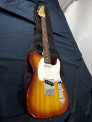 애슬린 던 텔레 일렉기타