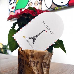 하이모리 하트 메시지 카드 PARIS
