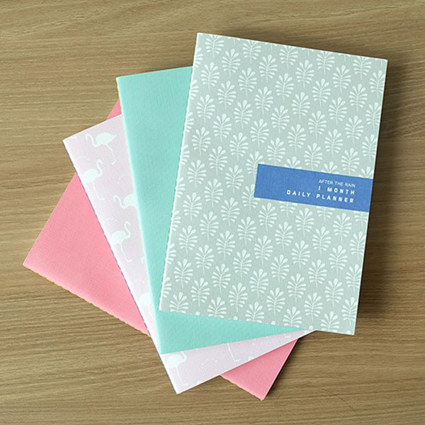 1 MONTH DAILY PLANNER