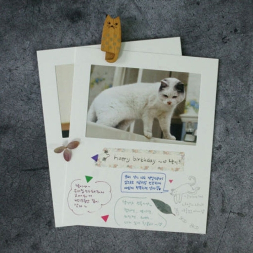 무즈앤뷰즈 4X6 STORY BOARD 5장1세트