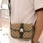 미니 GG 크로스백 20&times;14