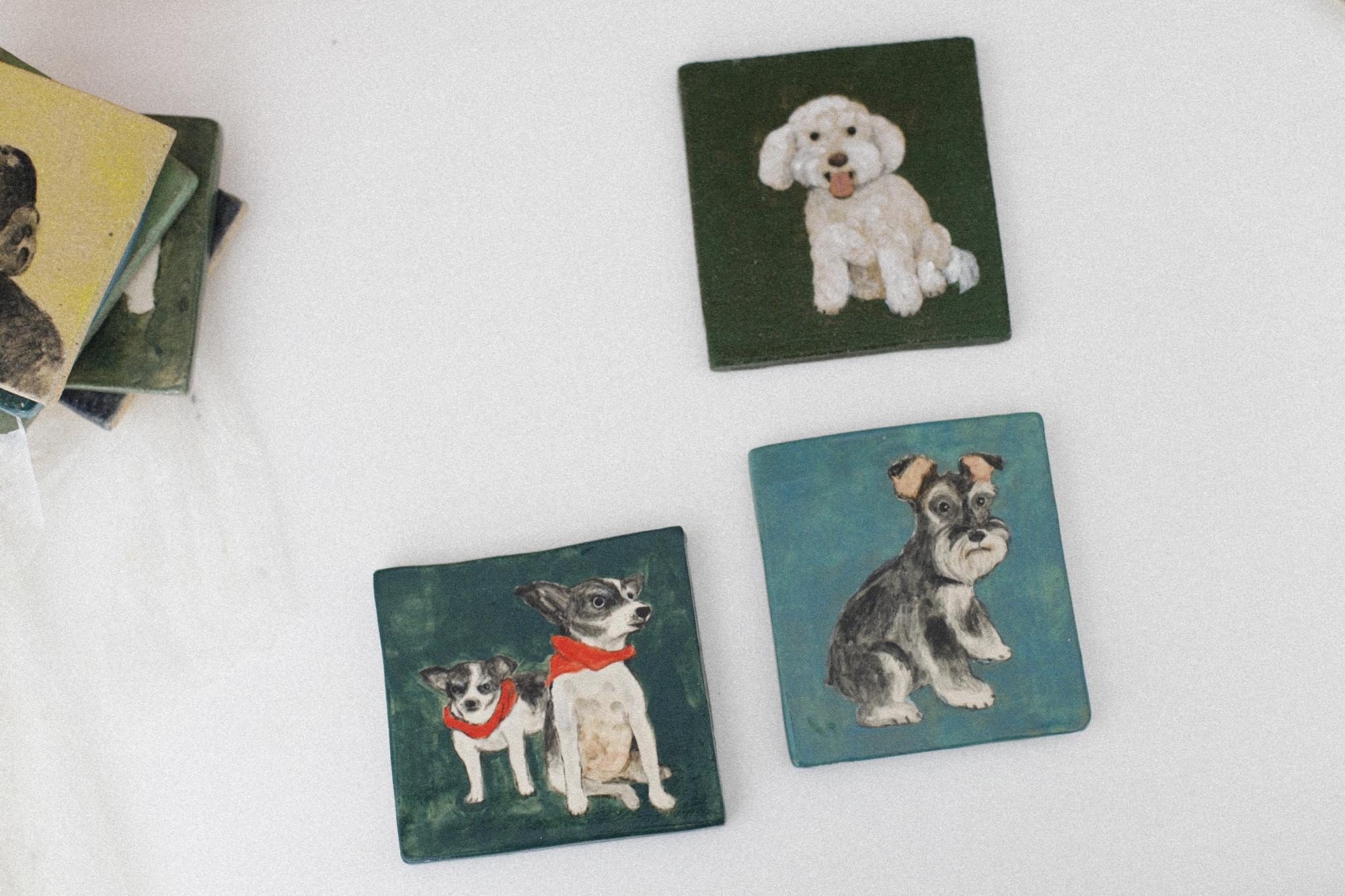 Pet portrait collection