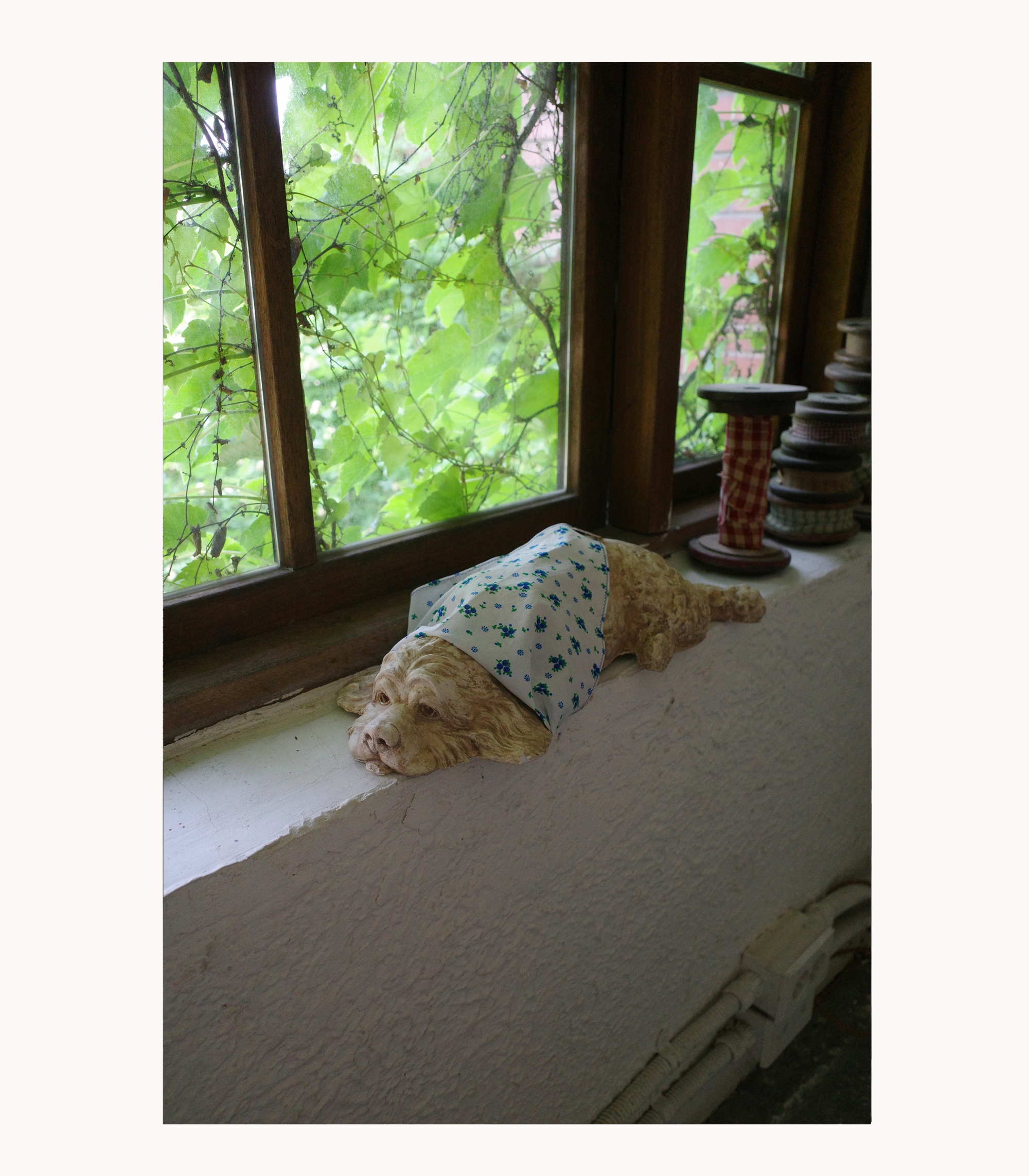 Dog Bandana