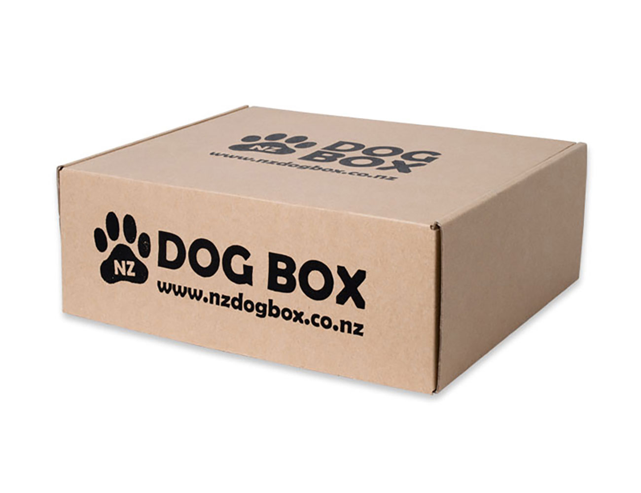 dog02_02.jpg