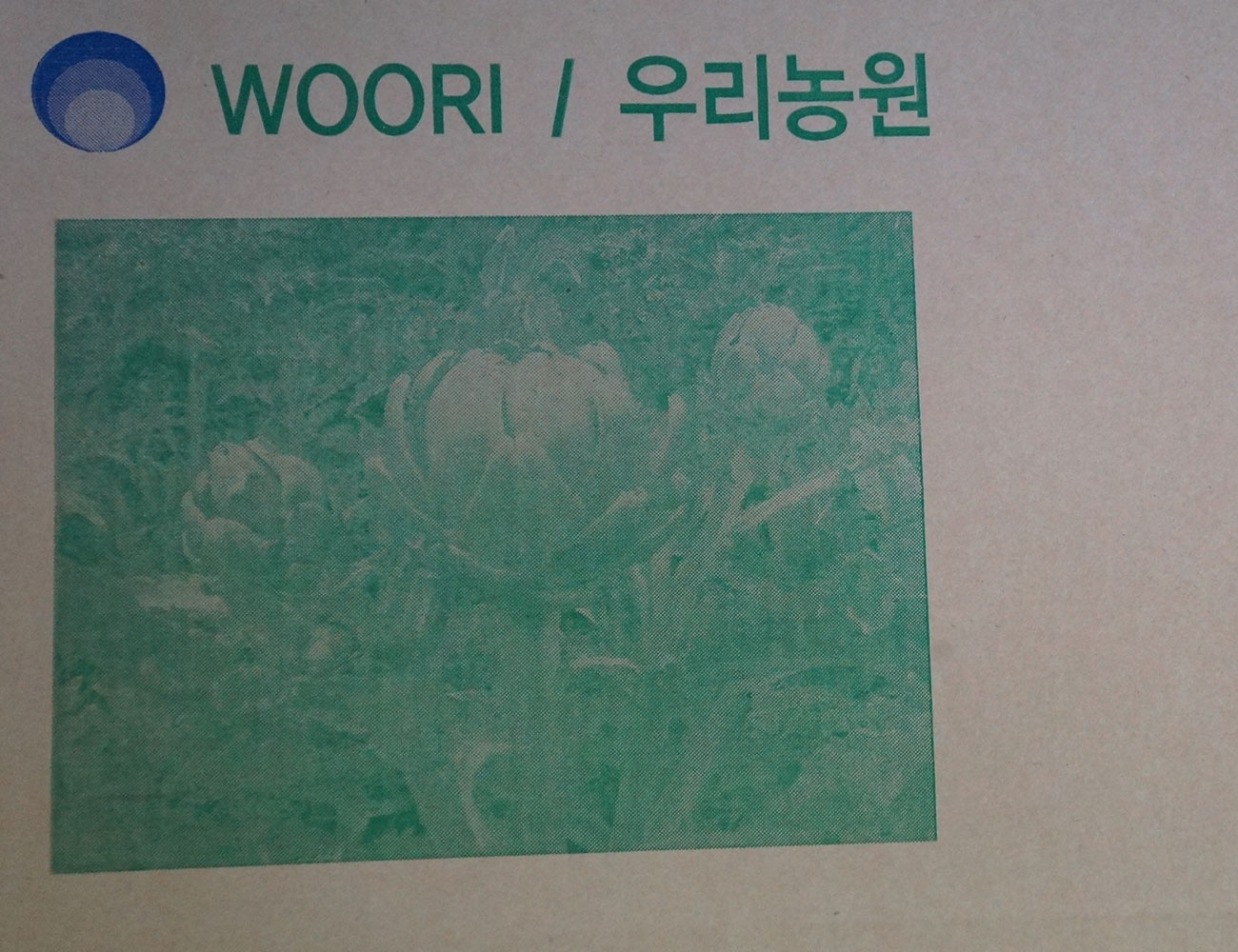 우리농원 박스 식물 박스 제품 박스 A형 박스 맞춤 제작 사례 우리농원 박스