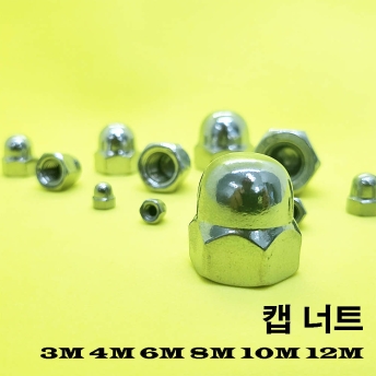 1000개 스텐 캡너트 M5 304