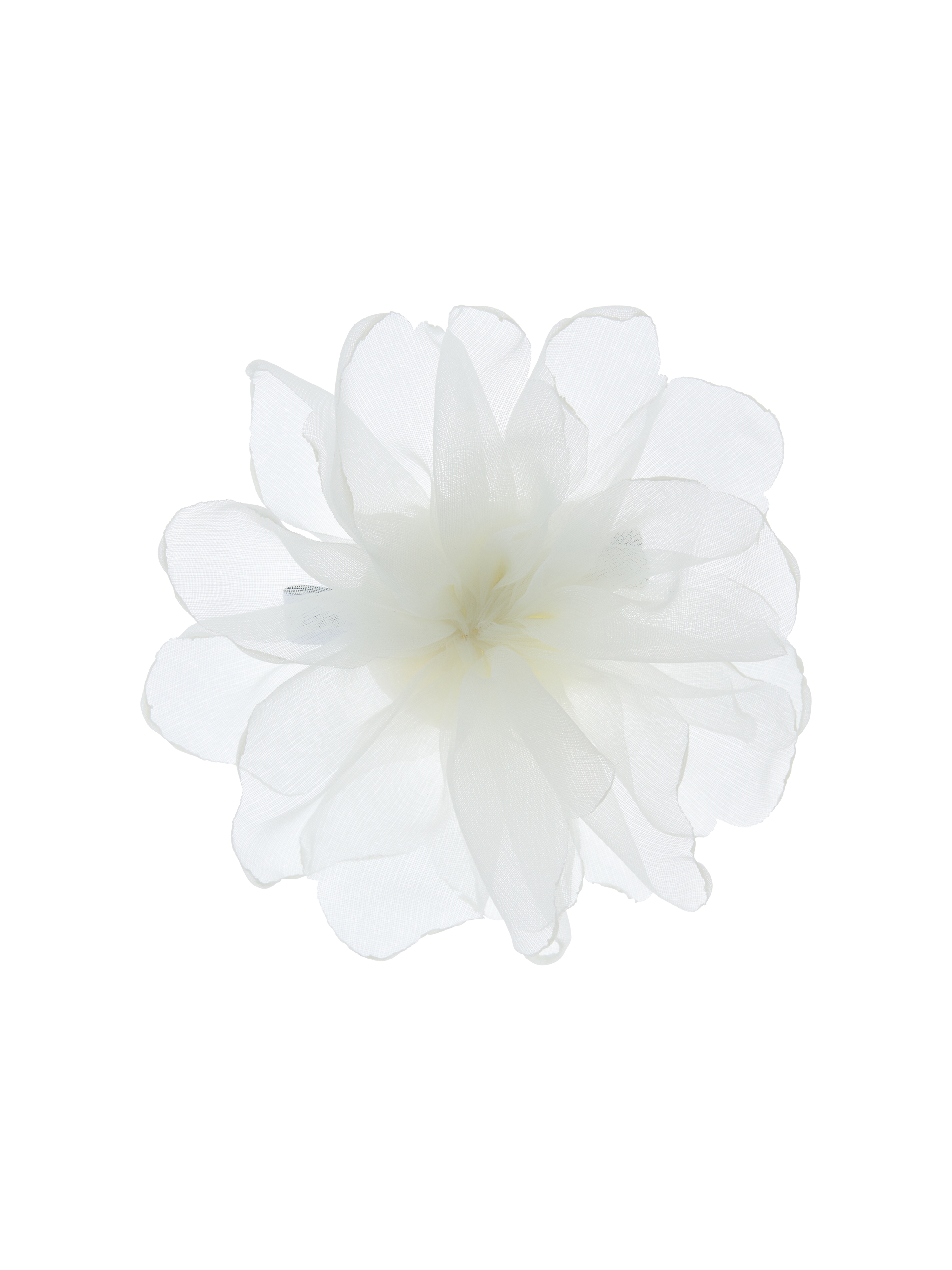 Camellia Whisper Brooch