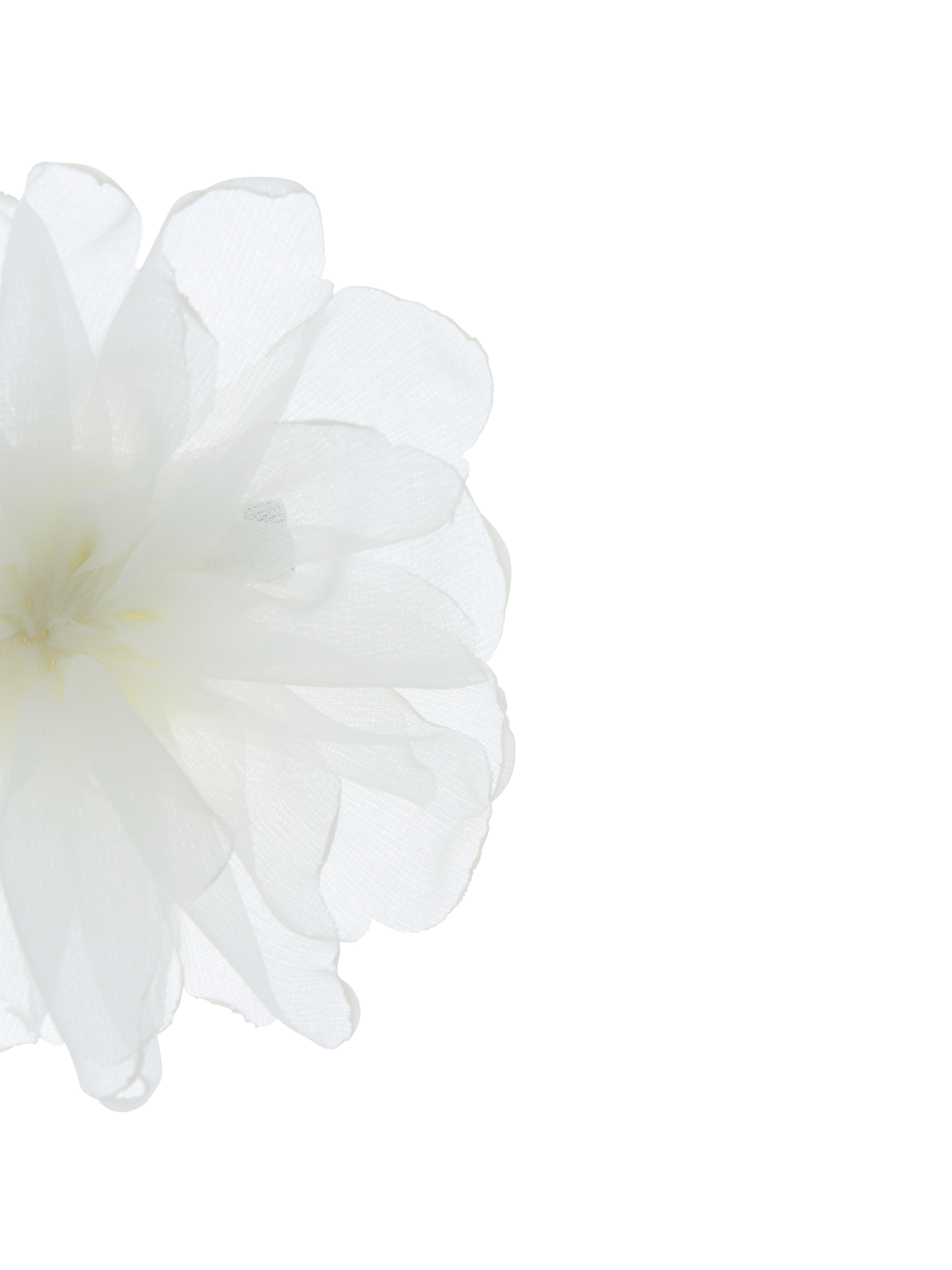 Camellia Whisper Brooch