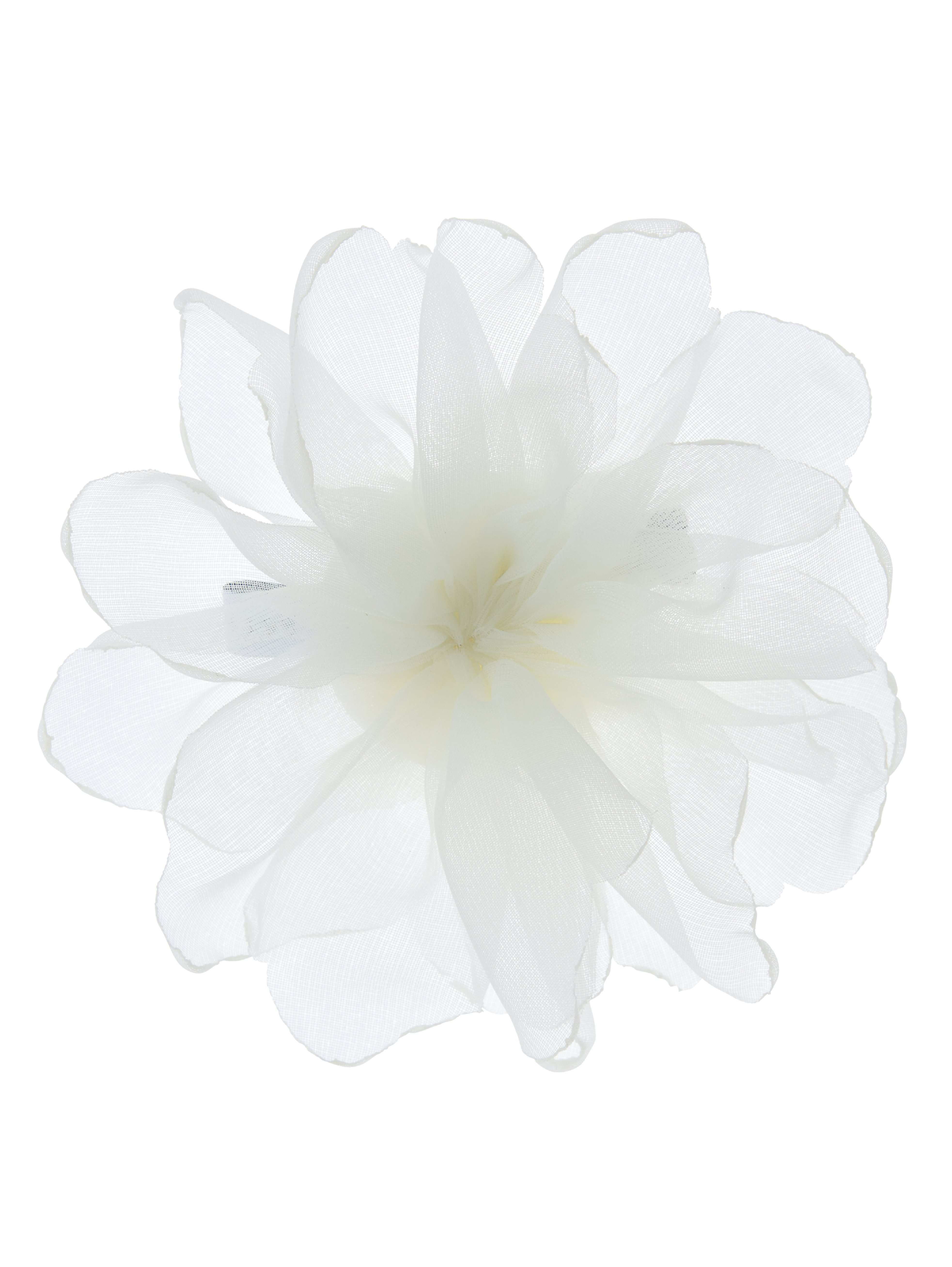 Camellia Whisper Brooch