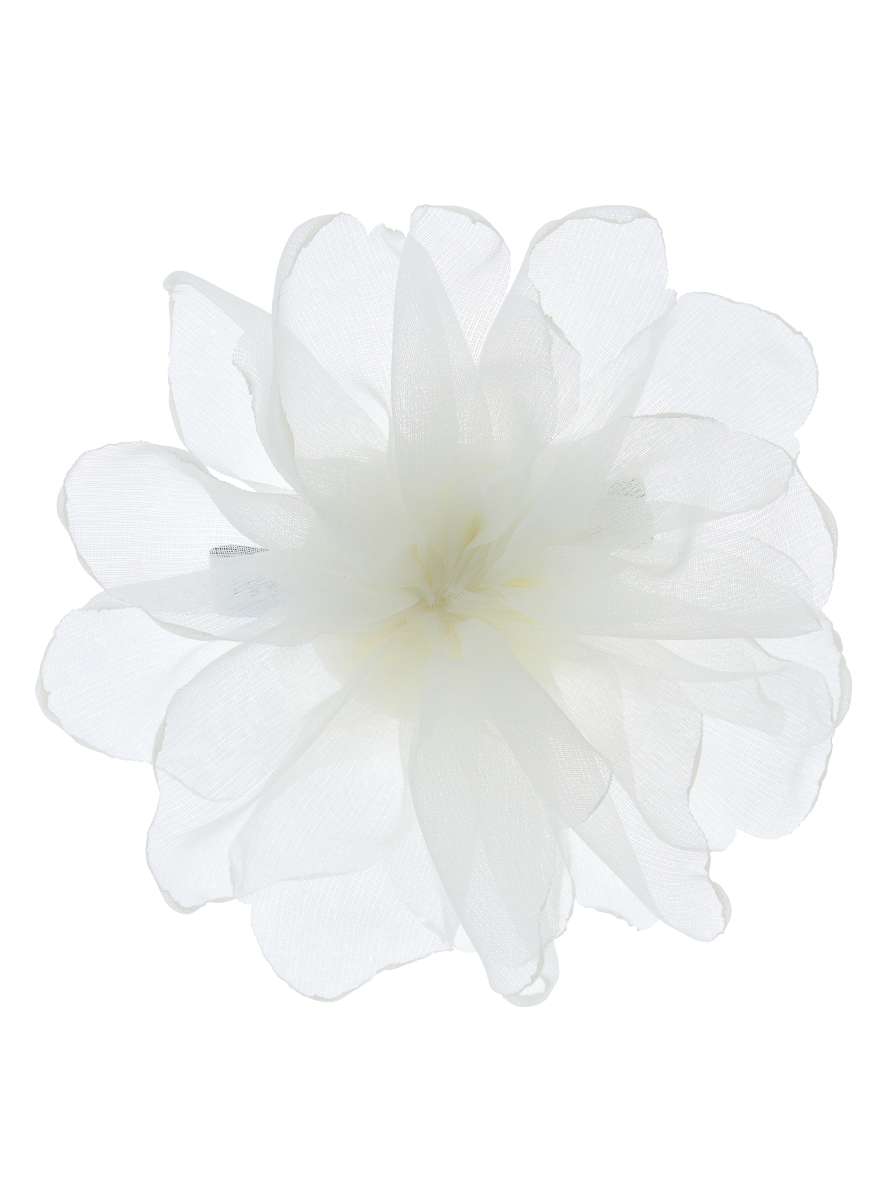 Camellia Whisper Brooch