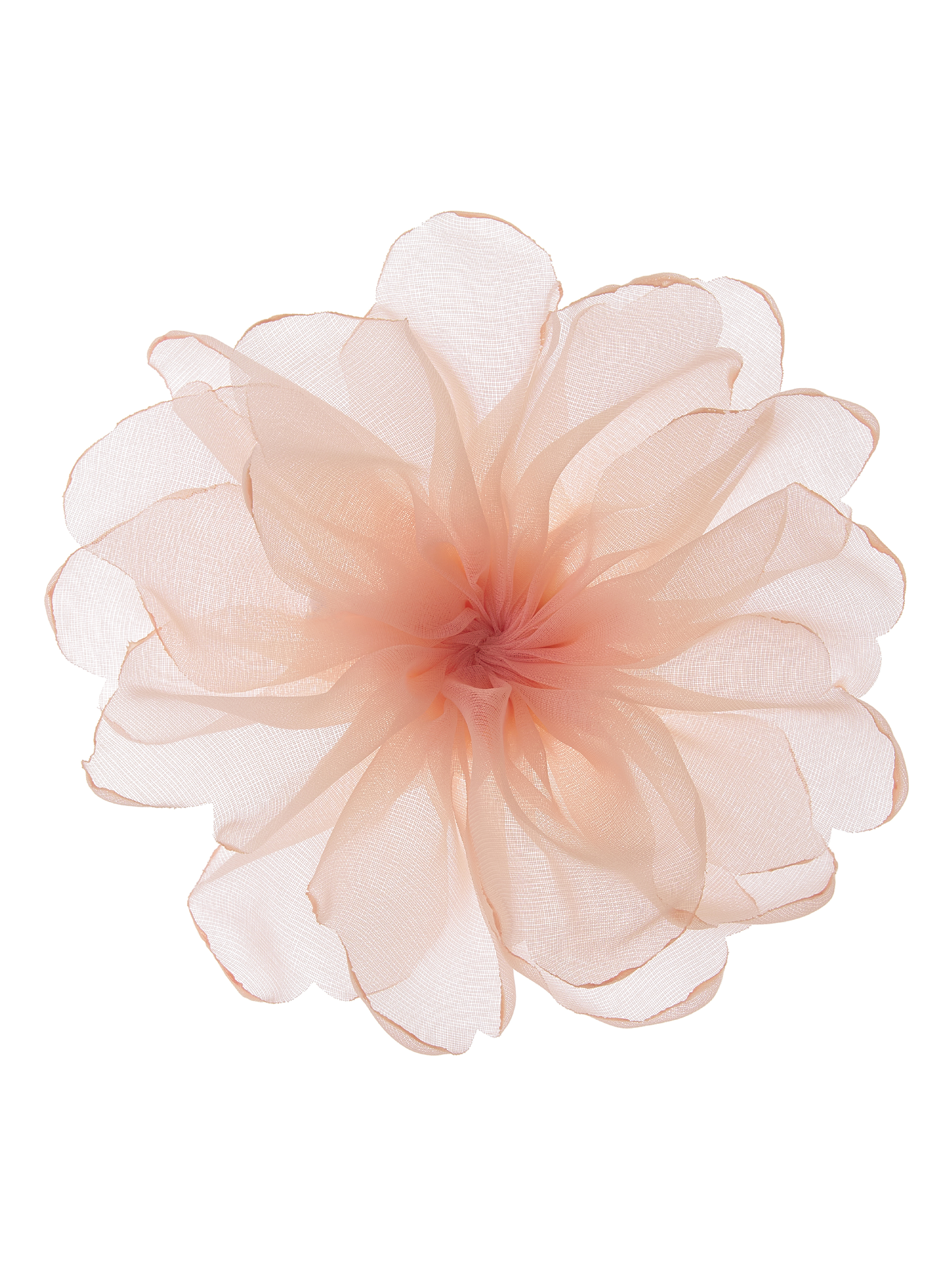 Camellia Whisper Brooch