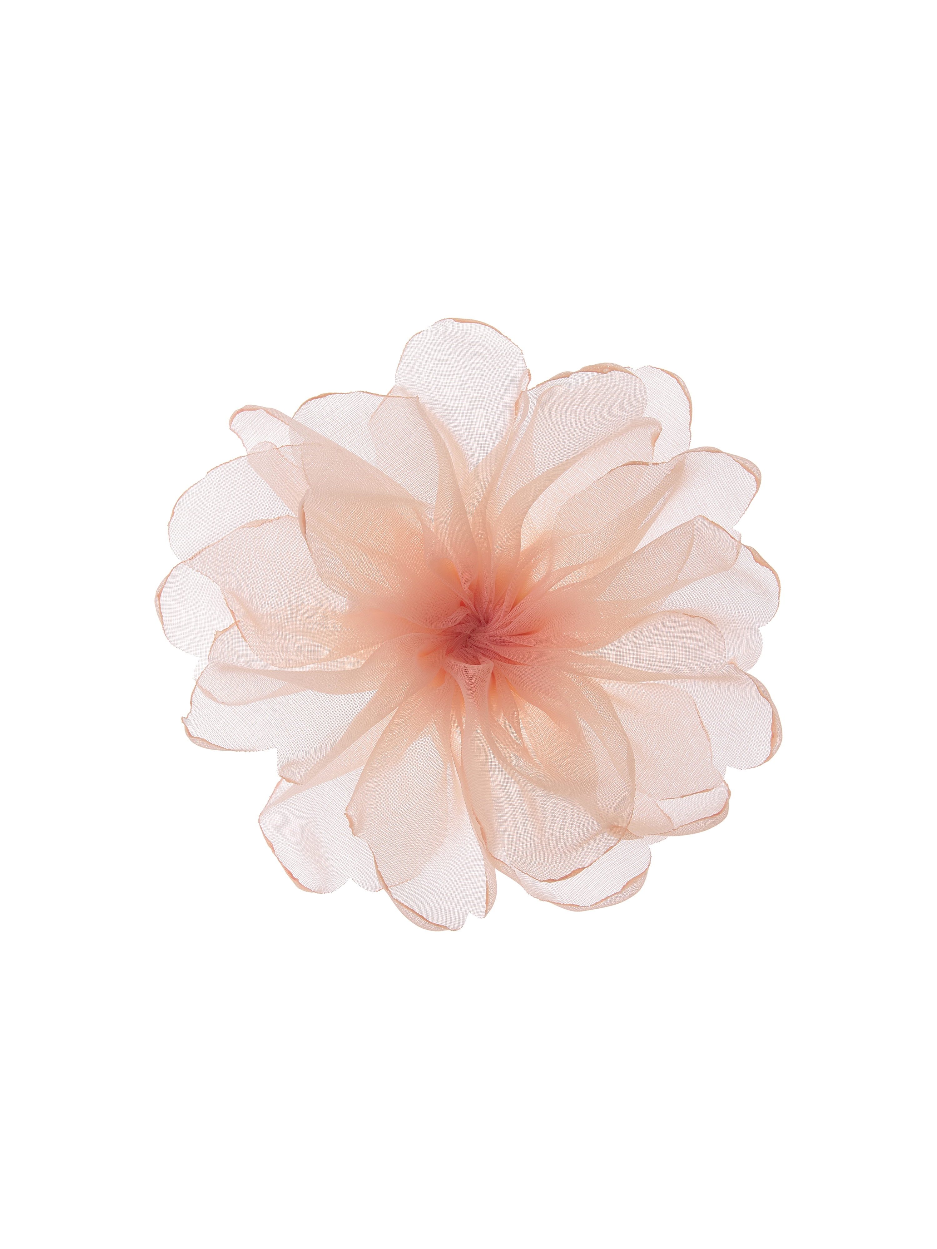 Camellia Whisper Brooch