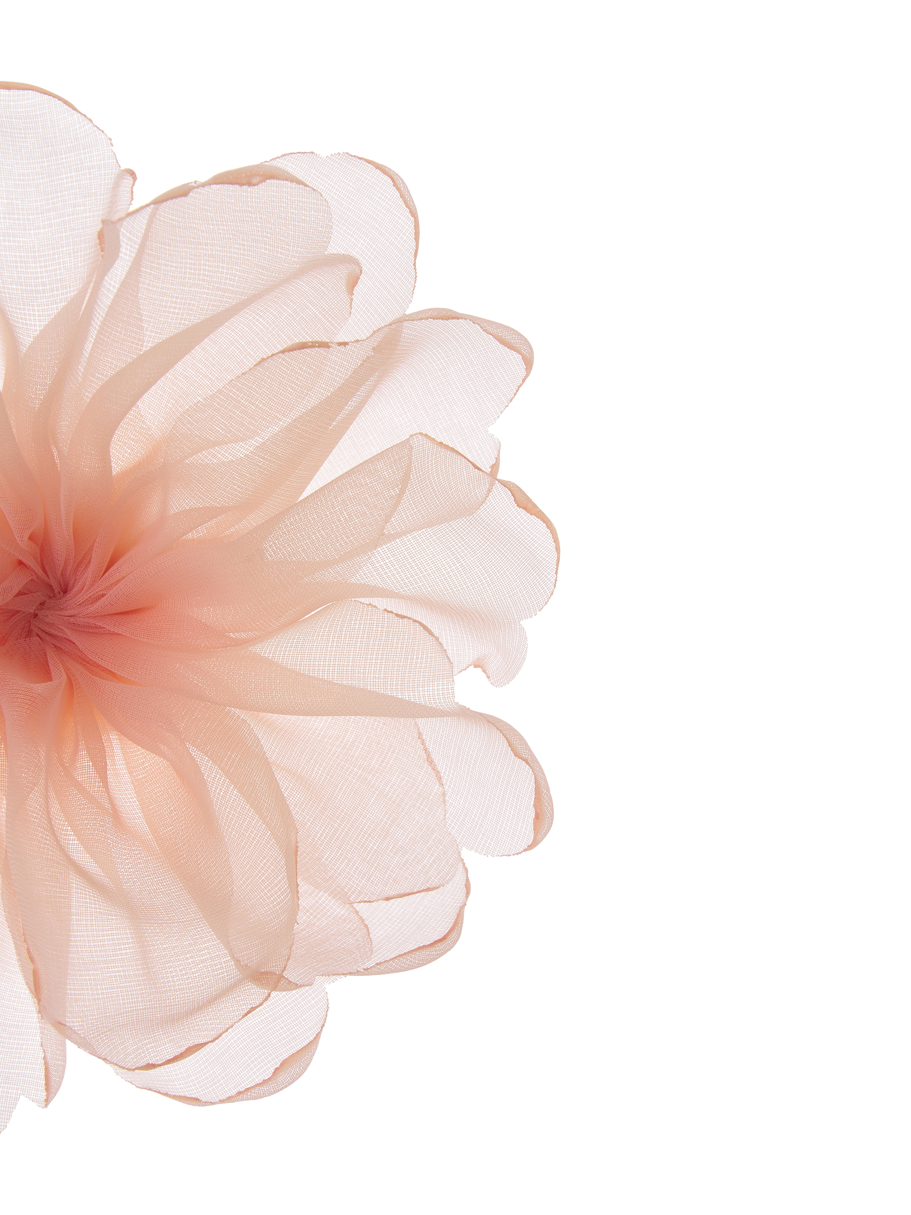 Camellia Whisper Brooch