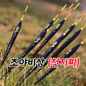 초야비상(천지찌)