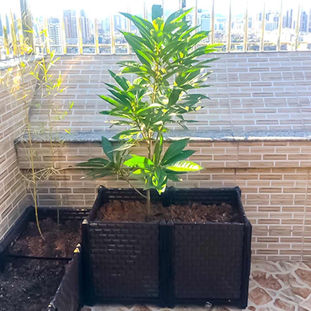 조립식 미니 텃밭 3칸 세트