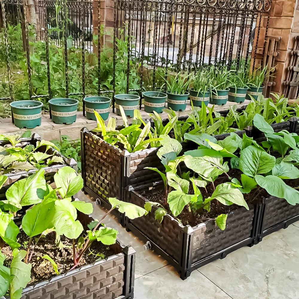 조립식 미니 텃밭 3칸 세트