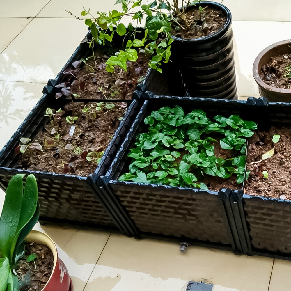 조립식 미니 텃밭 3칸 세트