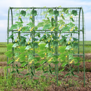 쑥쑥 넝쿨 식물 지지대 토마토 포도 오이 호박 덩굴 지주대