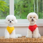 팝컬러 민소매 티셔츠
