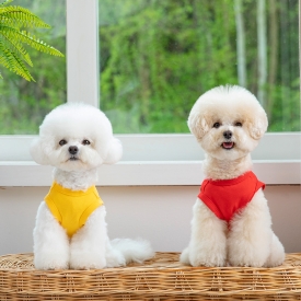 팝컬러 민소매 티셔츠