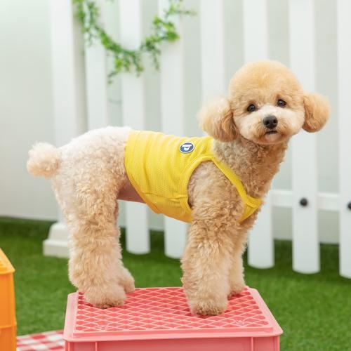펫츠랜드 와플크롭쿨링나시티 3 color S-2XL