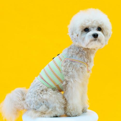 펫츠랜드 츄잉크롭나시티 2 color S-2XL
