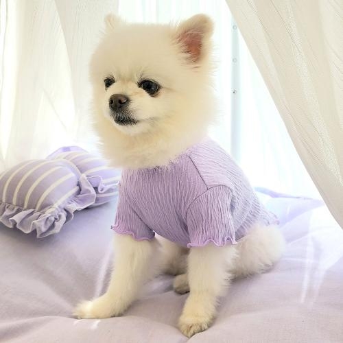 펫츠랜드 젤라또티셔츠 2color S-2XL (국내생산)