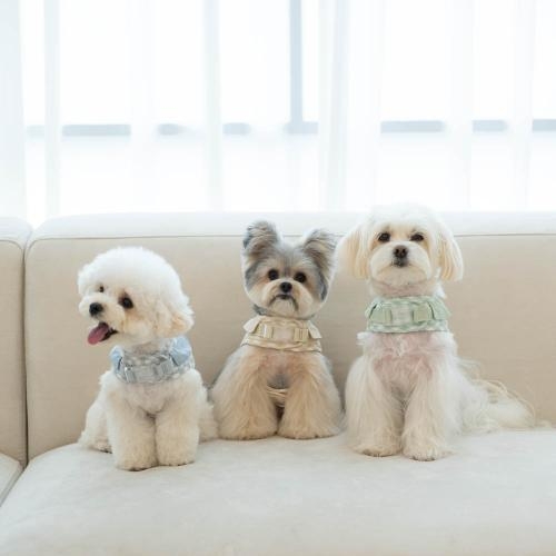 펫츠랜드 오데트카라하네스 3color S-L