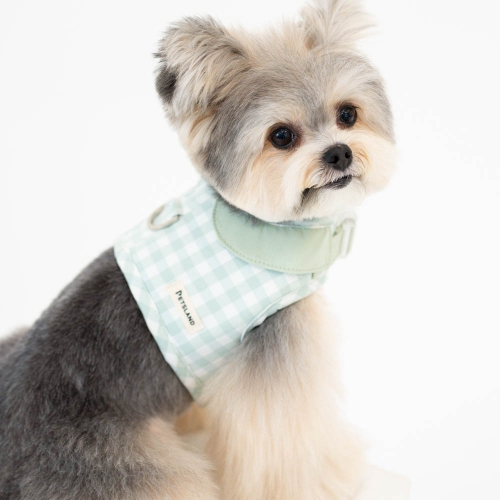 펫츠랜드 오데트카라하네스 3color S-L