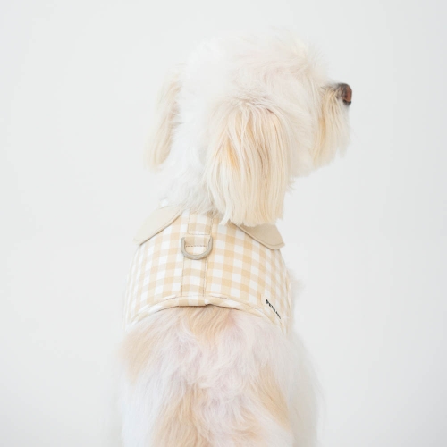 펫츠랜드 오데트카라하네스 3color S-L